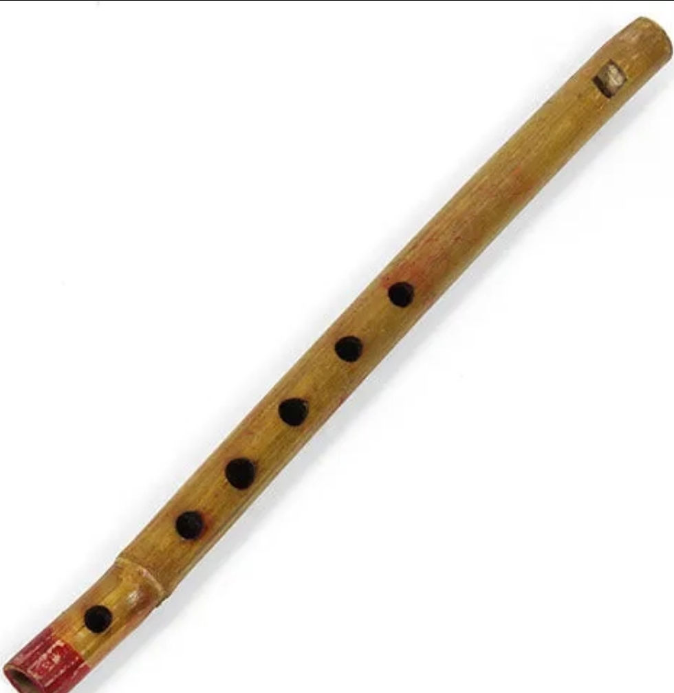 Pocket money flute