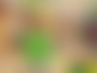 Welcome to Our World of Learning!!