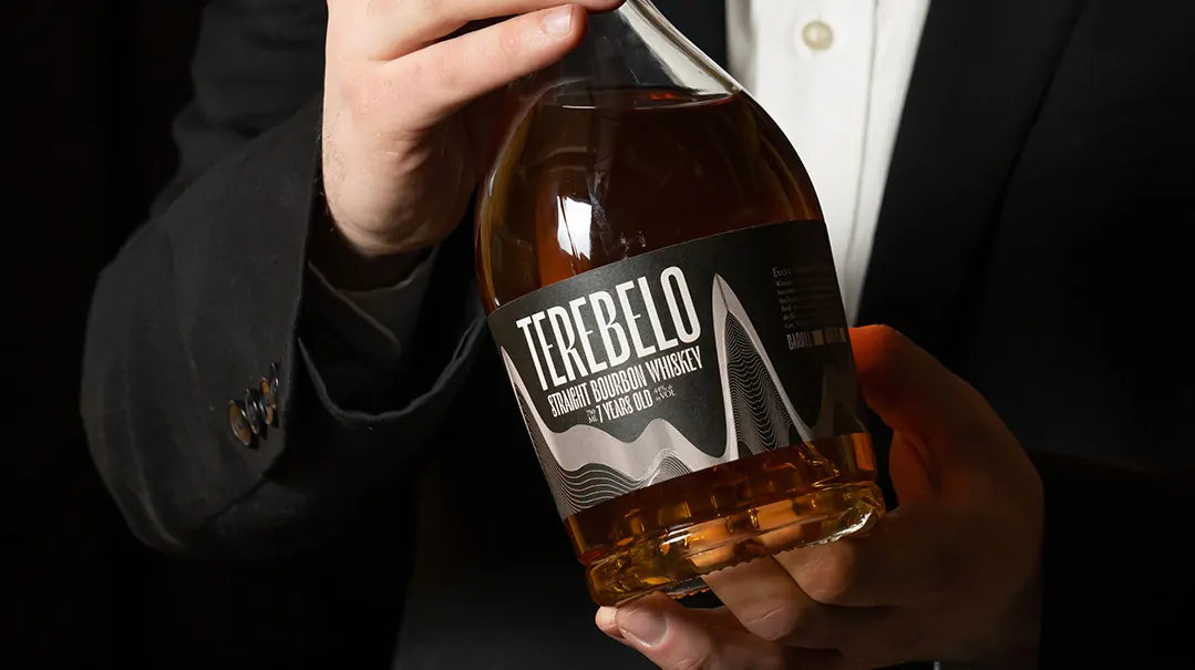 terebelo 2.webp