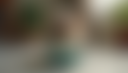 UTI vs FLUTD: Memahami Perbezaan Jangkitan Saluran Kencing dan Masalah Pundi Kencing Lain