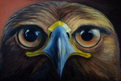 Eagle Eyes.jpeg