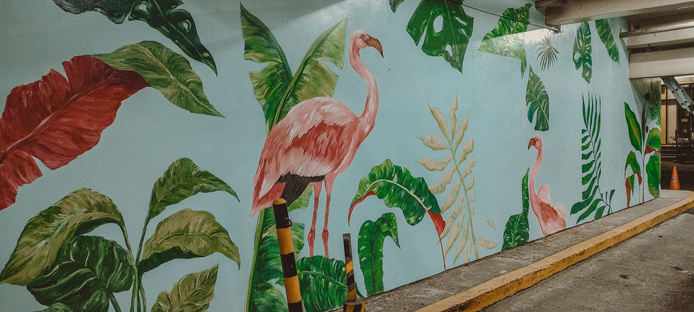 207671135_1895630200585475_6841588384621827741_n