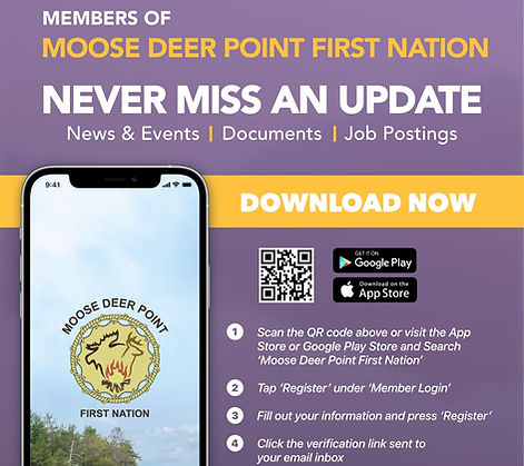 MDP APP.jpg
