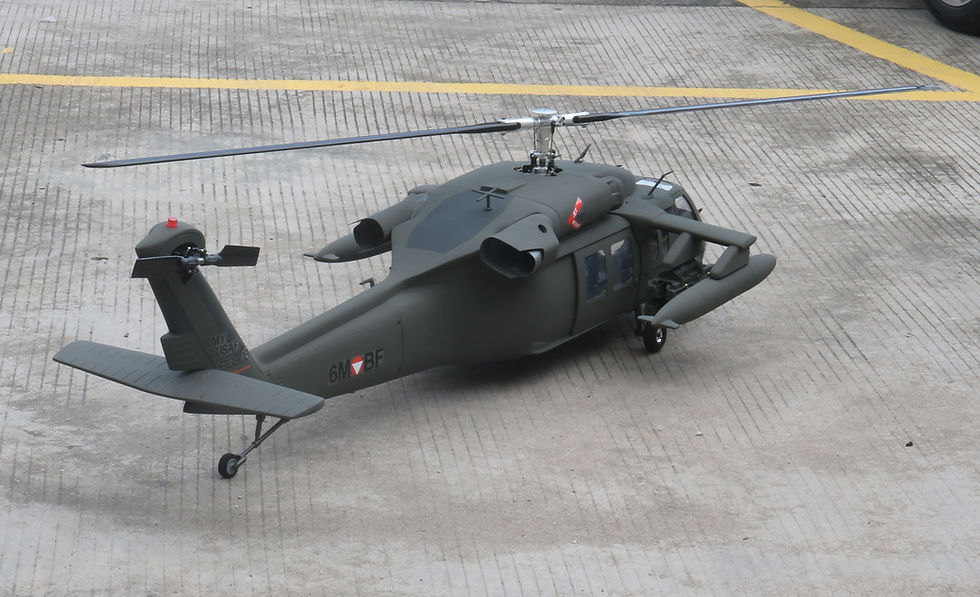 Thumbnail: 600 UH-60 Black Hawk