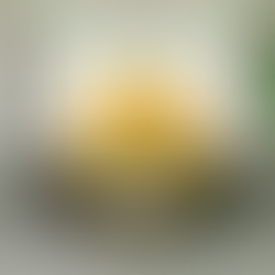 YES Energia bate metas de Q1 2026 SolarEdge