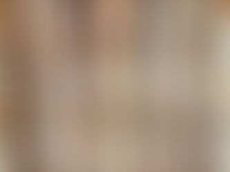 Stone Baked Sourdough Baguettes