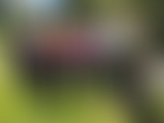 Jubiläumsreise 2023