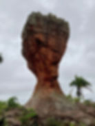 ree