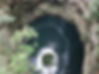 ree