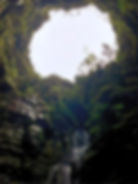 ree