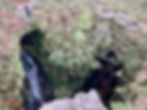 ree