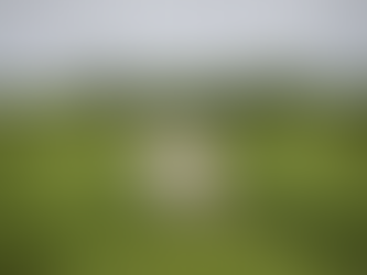 Cité futuriste au Sénégal et cryptomonnaie : les projets contrariés du chanteur Akon