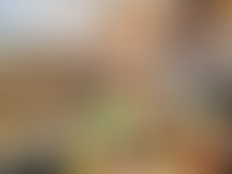 Entrepreneuriat sénégalais: Mafé, yassa, sakay, doro wat, Mom Koumba met l’Afrique en boîte !