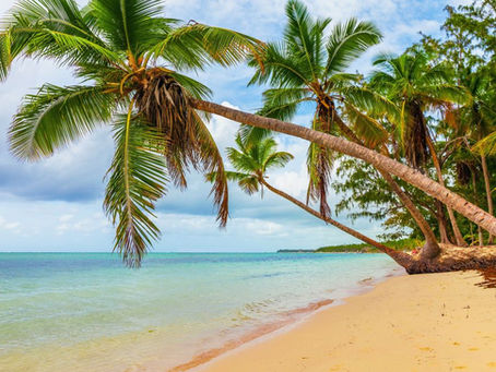 Pourquoi investir dans l’immobilier au Sénégal ?