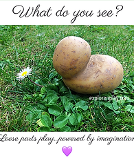 IMG_0440.JPG.png
