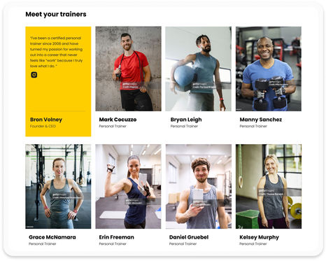 Trainer's Profile section design