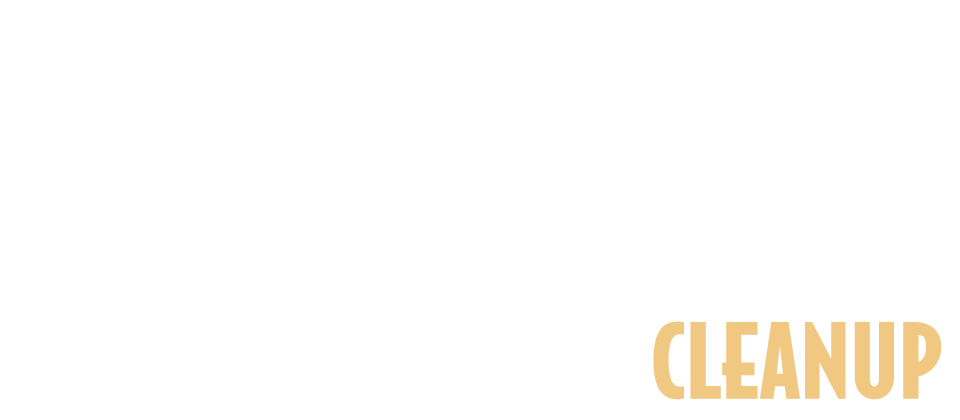 Keyport Cleanup-light.png
