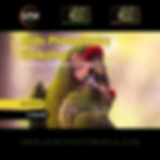 Birds Photography Workshop