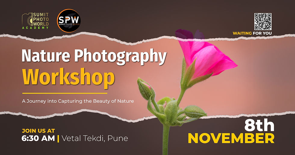 Nature Photography Workshop