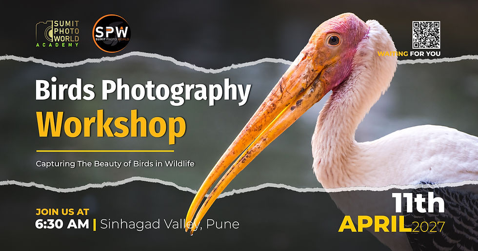 Birds Photography Workshop