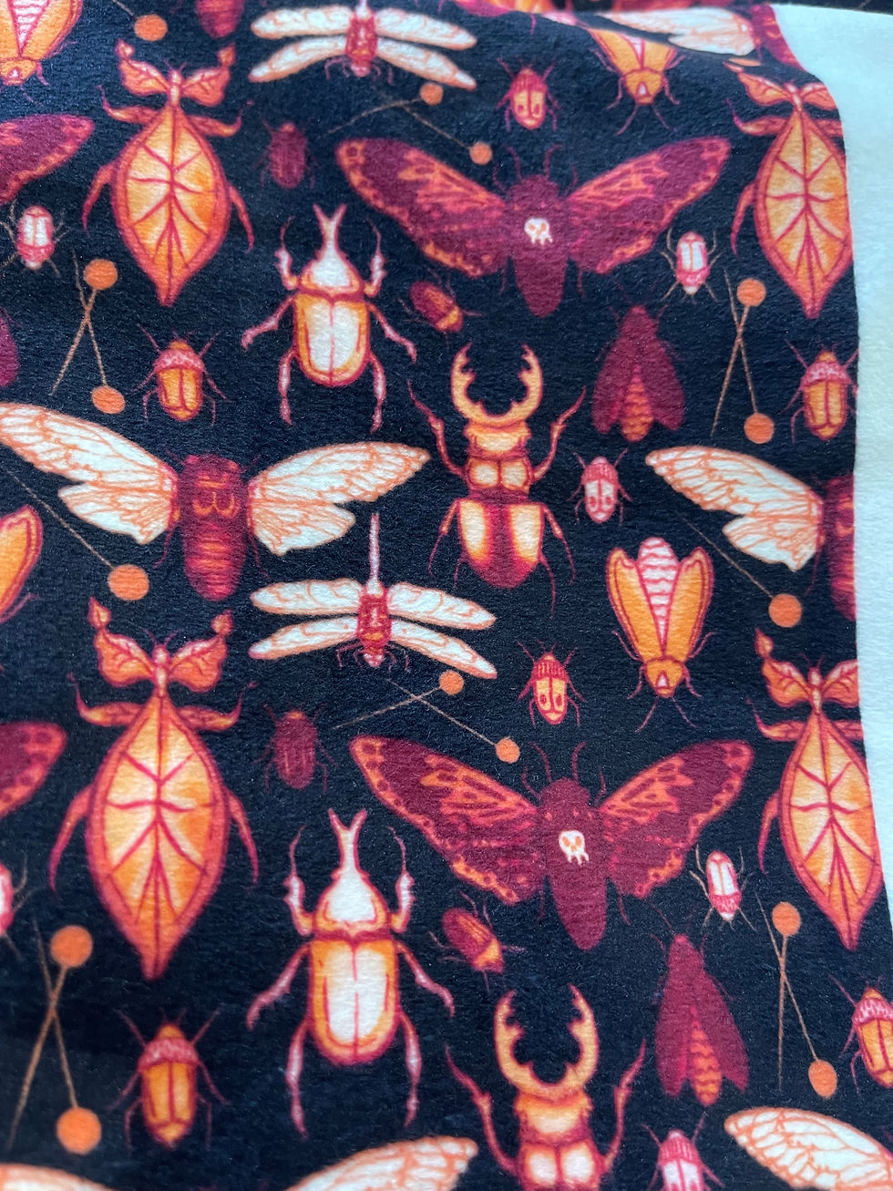 Thumbnail: Insect Display