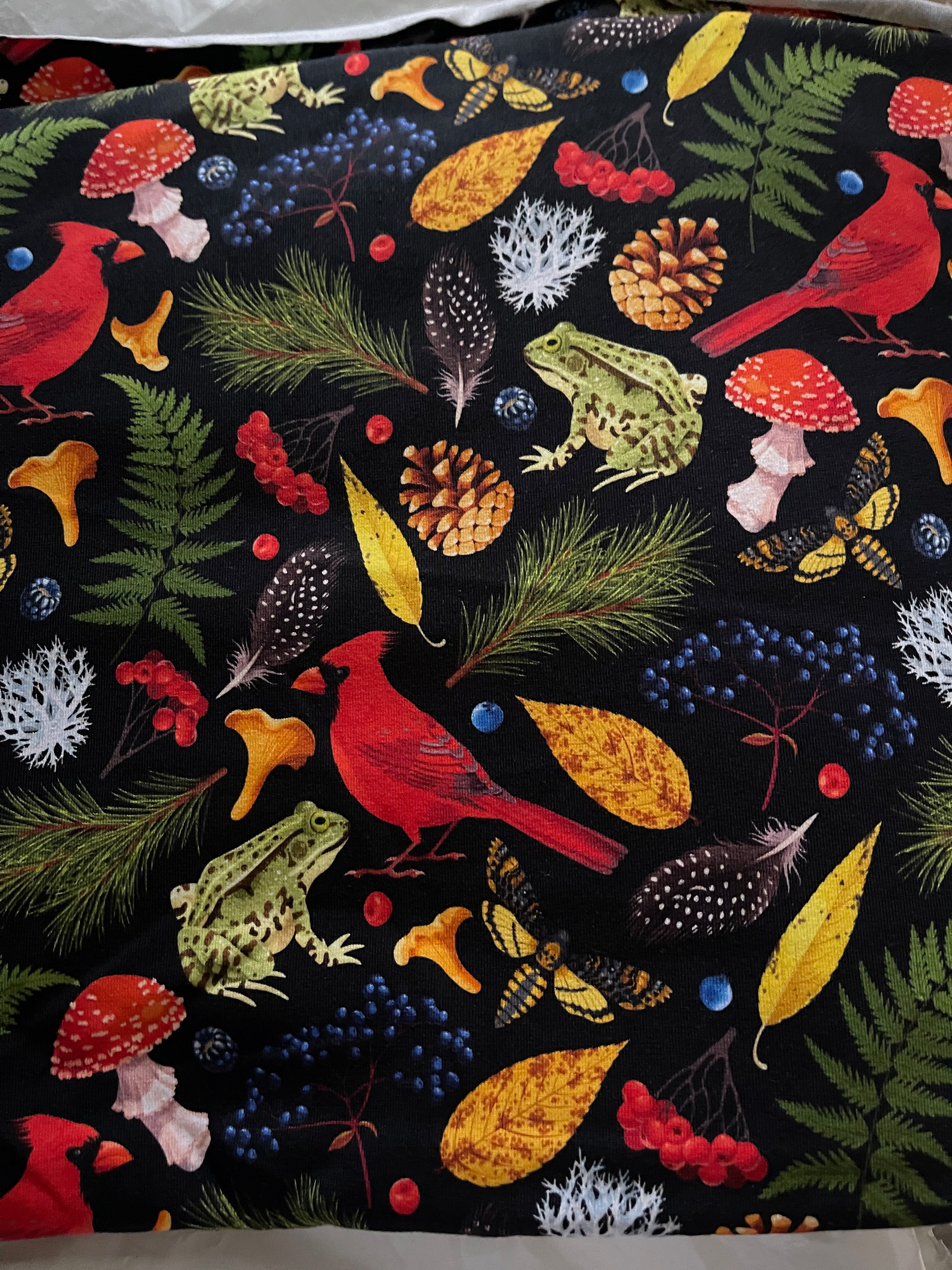 Nature's Autumn