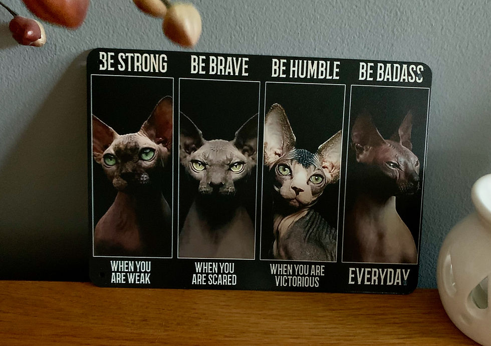 Thumbnail: Sphynx Tin/Metal plaque LARGE