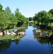 1__001128100_1929_07062016.jpg