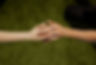 Perm Hero Image.jpg