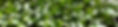 286944079_569901457816514_1346004923499611081_n_edited.jpg