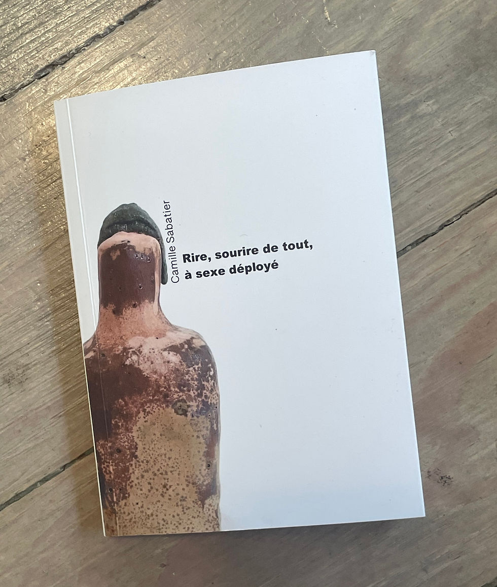 Livre "Rire, sourire de tout à sexe déployé"