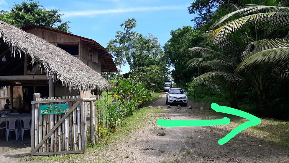 Thumbnail: LOTE DE TERRENO EN MUISNE CERCA DECAMERON