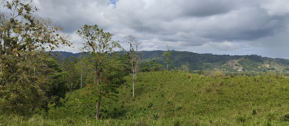 Thumbnail: SE VENDE HACIENDA DE 120 HECTÁREAS EN RÍOVERDE - ESMERALDAS
