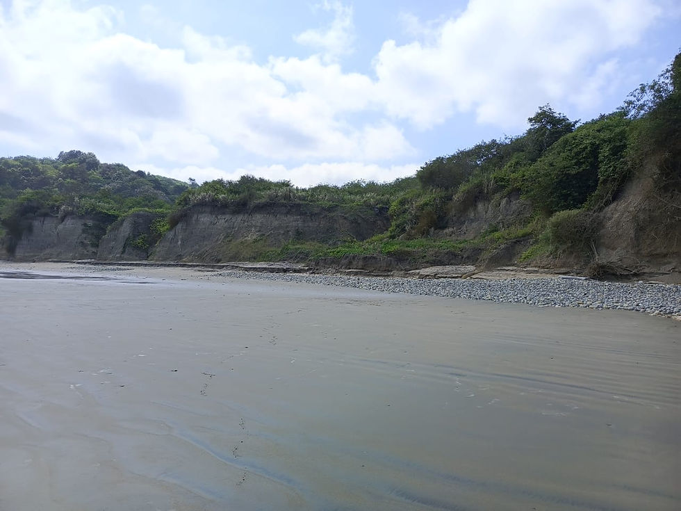 Miniatura: LOTE DE 69 HECTARIAS ENTRE OCP Y MAR ZONA MUY EXTENSA