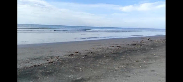 Venta de lote de 7 hectáreas en Colope