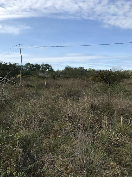 Thumbnail: LOTE DE TERREONO EN PINGUAPI.. 15.000M2  .. EN ZONA CERCA DE ESMERALDAS Y POBLAD