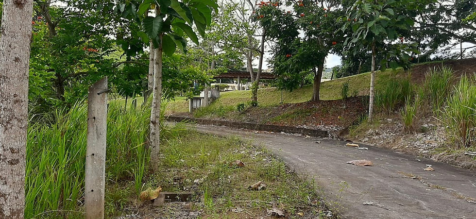 Miniatura: LOTE DE TERRENO DE  2500M2  ..HAY LAGOS  VIA A SAME  .. CON CERRAMIENTO