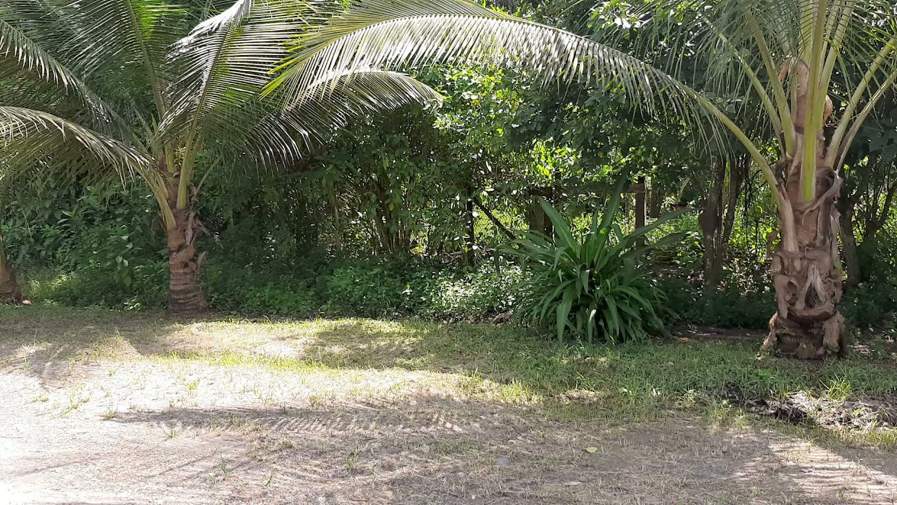 LOTE DE TERRENO EN MUISNE CERCA DECAMERON