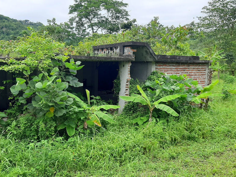 Thumbnail: LOTE DE PROMOCION DE  15.000M2 EN LA VIA ESMERALDAS SAN MATEO FILO DE CARRETERA
