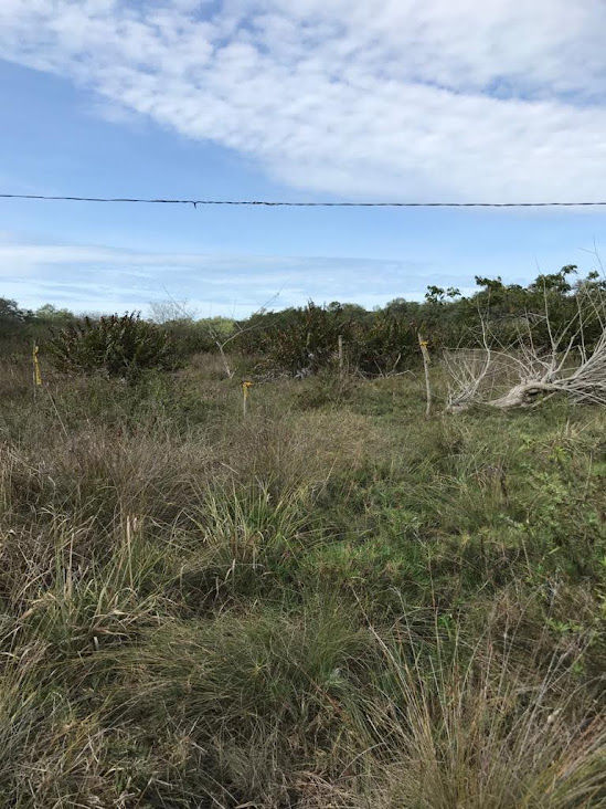 Thumbnail: LOTE DE TERREONO EN PINGUAPI.. 15.000M2  .. EN ZONA CERCA DE ESMERALDAS Y POBLAD