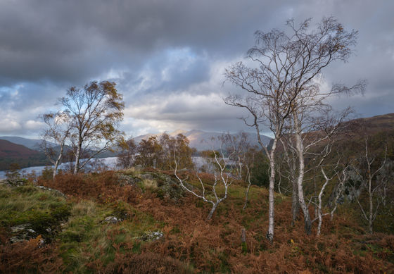Shepherds Crag