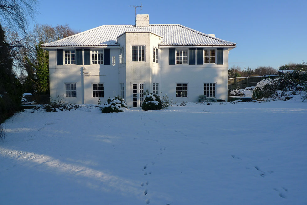 Winter view
