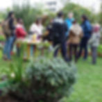 Atelier vivaces & perpétuelles