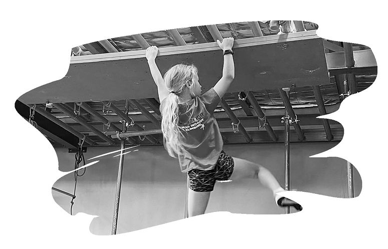 ninja_bar_bw.png