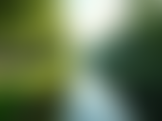 Plan Memorable Events in Kolkata: Your Guide to Kolkata Event Planning