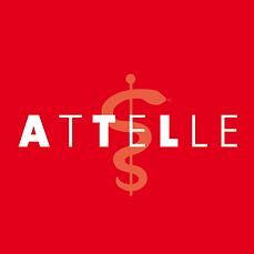 atelle vect-02.png