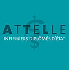 attelles couleurs3.jpg