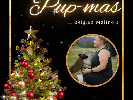 On Day 11 of Pup-mas, Mikenze teaches a Puppy Yoga class with a puppy sitting on her lap, capturing joy and connection.
