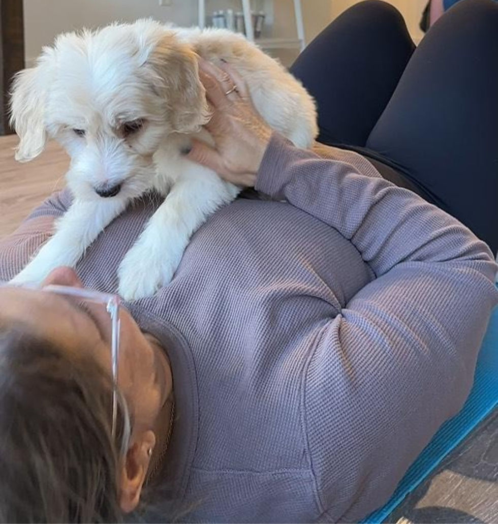 A student relaxes with a puppy resting on her chest during a Puppy Yoga With Mikenze class, capturing a calm and heartwarming moment.