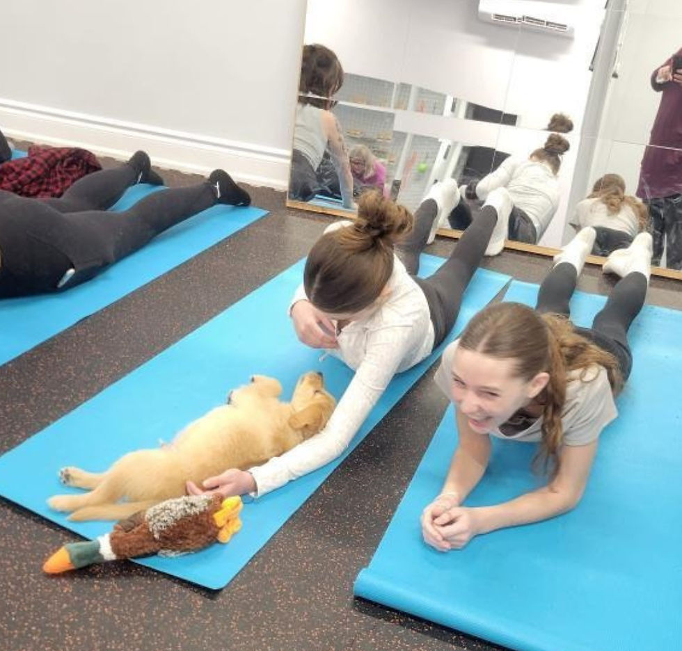 A playful puppy tugs on a girl’s sweater zipper during a Puppy Yoga With Mikenze class, capturing a fun and candid moment.